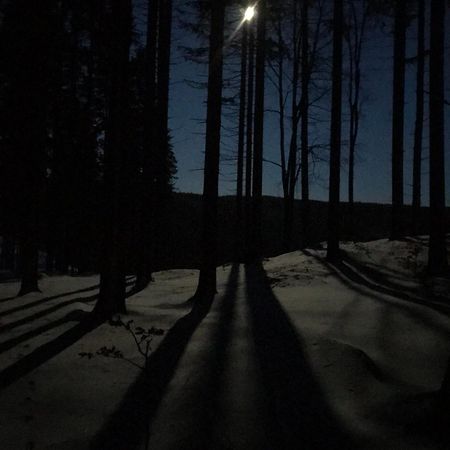 Dziewiecsil-Domek W Gorach Duszniki Zdrój 外观 照片